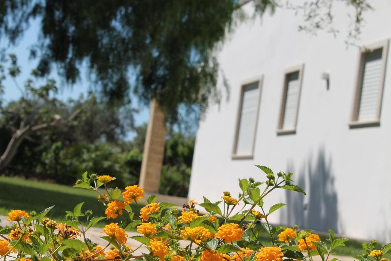Paloma B&B Porto Cesareo Exterior photo