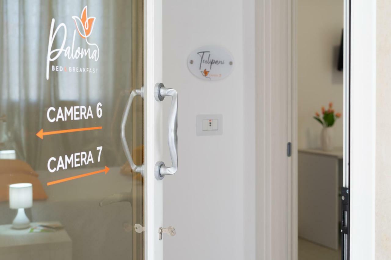 Paloma B&B Porto Cesareo Exterior photo